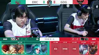 中国女排的 中国女排的