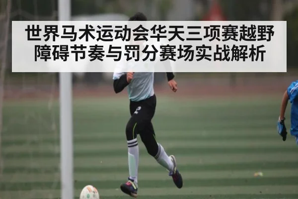 世界马术运动会华天三项赛越野障碍节奏与罚分赛场实战解析 | NBA
